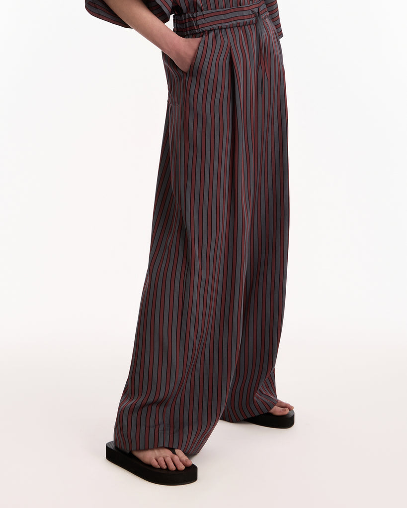 Dries Van Noten Pila Pants in grey