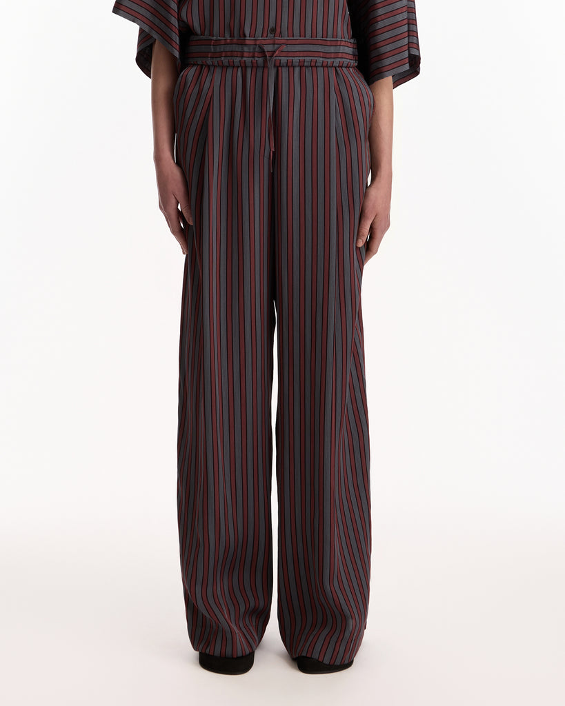 Dries Van Noten Pila Pants in grey